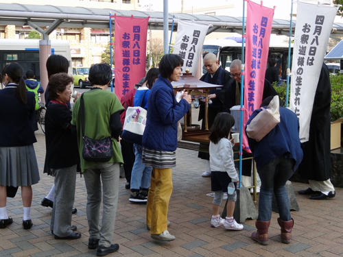 藤枝市での花配りの様子01